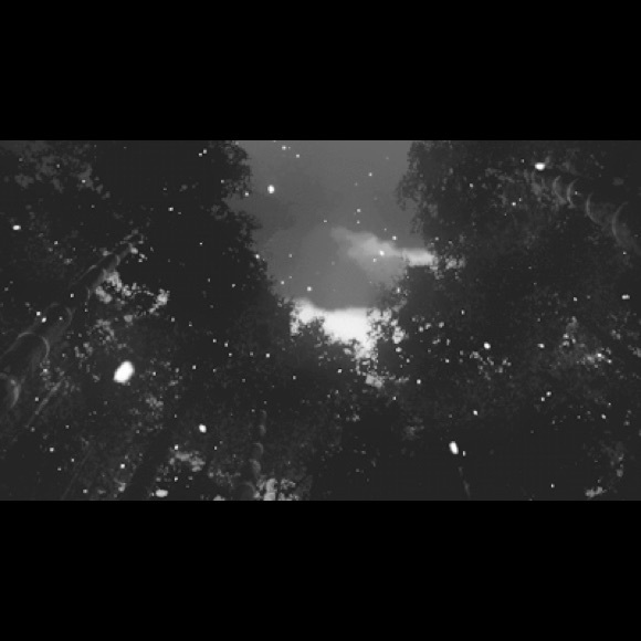 Meet your Posher, Rebecca - Picture 1 of 1